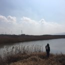 닭발의 꿈 이미지