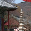 풍천펜션민박 이미지