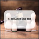 다올세무회계 네이버블로그