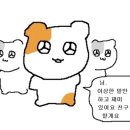 오버트서울