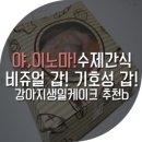 야이노마 이미지