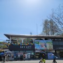 씨유서울대공원호랑이점 | 과천 :: 봄데이트 명소 서울대공원 동물원 리프트 3번탄 후기