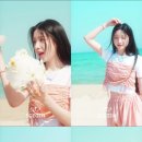 서진포토