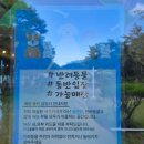 하이드리드 | 춘천 강촌 애견 동반 카페 하이드 온 부쉬 물멍 하기 좋은 내돈내산 후기