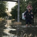 상업용 88 이미지