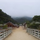 새재의아침 이미지