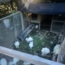 스테이큐브 이미지