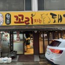 원조꼬리치는돼지 이미지