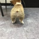 트리플헤어 이미지