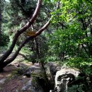 자산2리마을회관 이미지