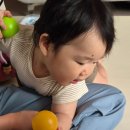 294 | [후기 밥솥 이유식] D+292~294/3배죽 레시피/new:참돔살