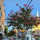 서수원체육공원 이미지