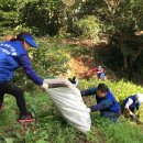 동삼3동-10 이미지