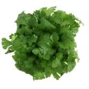 안채영한의원 이미지