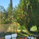 거슬러 오른집 이미지