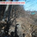 천주교청파동교회