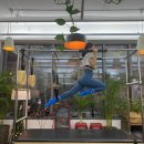 스피나 핏 앤 필라테스 이미지