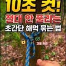 나무에 해먹줄 묶는법 이미지
