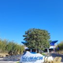 삼척해수욕장 이미지