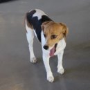 괜찮아동물병원 이미지