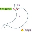 평제한의원 이미지