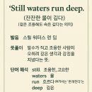 주말엔 영어속담 "Still waters run deep." 이미지