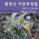 보디가드단양점 | [오토캠핑] 황정산 자연휴양림 (2017. 4. 29~30)