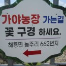 가야농장 이미지