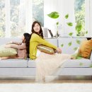 (주)세인환경디자인 네이버블로그