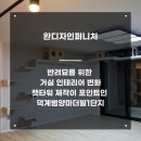 범양마더빌아파트(1차) | 반려묘를 위한 거실 인테리어 변화 '캣타워 제작이 포인트인 덕계범양마더빌1단지'