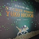 [Exhibition] 유코 히구치 특별展 : 비밀의 숲