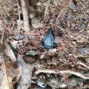 용인중앙공원 이미지