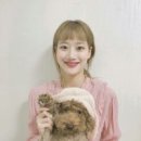 더나은 이미지