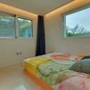 스테이인숲 이미지