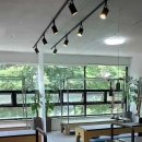 개나리3차 아파트 앞 이미지