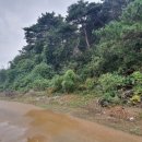 삼봉3리 마을회관 이미지