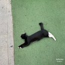 여름여름해 [사성암/트루와지엠/죽녹원/곡성기차마을/광한루]