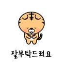 도그원 이미지