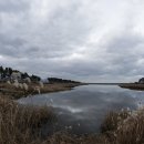 계화진료소 이미지