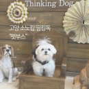 젤리댕댕이 | 일산 반려동물 셀프사진관, 귀여운 젤리샷으로 네컷사진 찍기 소노캄 띵킹독 펫부스 후기