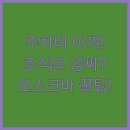 소피아모텔 이미지