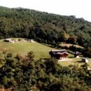 효자 이복비 | 조선의 추존왕