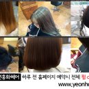 성림미용실 네이버블로그