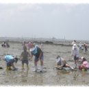 하전어촌체험마을 이미지