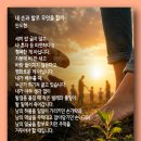 내 손과 발로 무엇을 할까 - 안도현 이미지