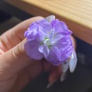 게을러서 이제야 적는 백현 생일카페 후기(+큥놀)