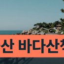 카페송림길 | 울산 대왕암공원 해안 산책 코스, 송림길과 바다를 함께 걷는 여름 여행