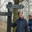 동산애 이미지