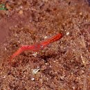 바다생각 이미지