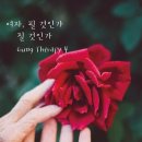 필아로마테라피